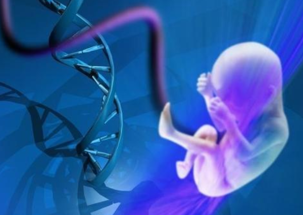 人工助孕方案选择与妊娠结局相关性研究