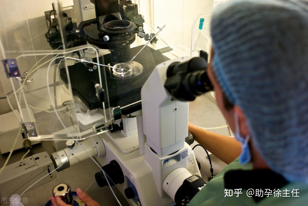 亲子鉴定技术及其应用